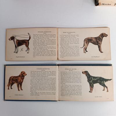 LOT 116: And To Think That I Saw It On Mulberry Street 1937, Bambi 1929, The Blue Book of Dogs 1941 & More