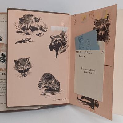 LOT 116: And To Think That I Saw It On Mulberry Street 1937, Bambi 1929, The Blue Book of Dogs 1941 & More