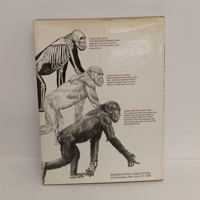 LOT 117: Vintage Sargent Easel-Aide with Blitz How to Draw Cartoons Video Kit and Art Books