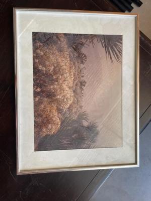 Desert Art