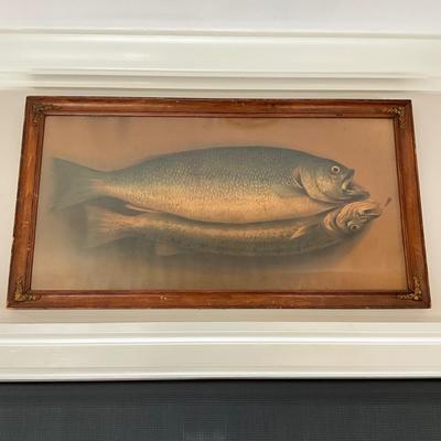 L442 Antique Framed Fish Print