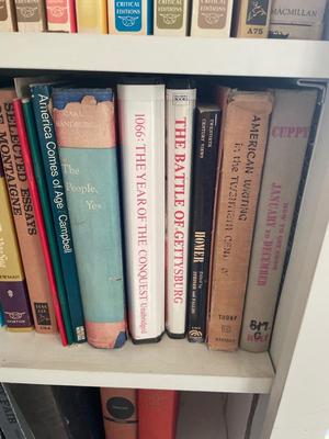 Two shelves assorted books