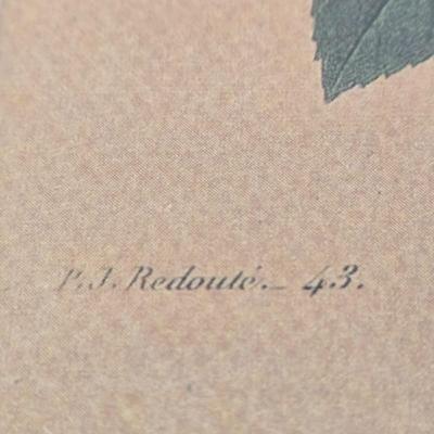 LOT 54: P.J. Redoute La Peche Framed Print