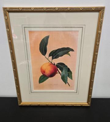 LOT 54: P.J. Redoute La Peche Framed Print