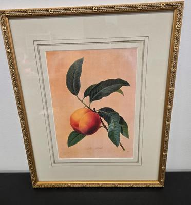 LOT 54: P.J. Redoute La Peche Framed Print