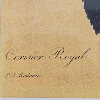 LOT 55: P.J. Redoute Cervisier Royal Framed Print