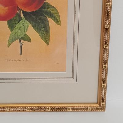 LOT 63: Framed Pierre-Joseph Redouté 'Pêcher à Fruits Lisses' Print