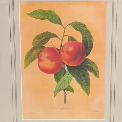 LOT 63: Framed Pierre-Joseph Redouté 'Pêcher à Fruits Lisses' Print