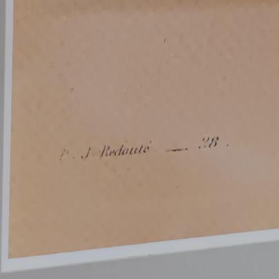 LOT 63: Framed Pierre-Joseph Redouté 'Pêcher à Fruits Lisses' Print