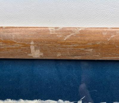 LOT 95: Handcrafted Dried Pressed Flower Art in Frames