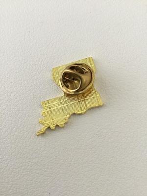 Vintage state push pin