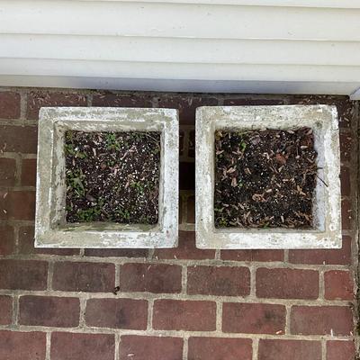 O538 Pair of Concrete Square Acanthus Style Planters