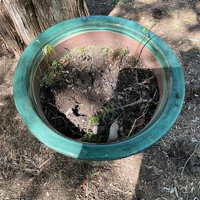 O549 Large Green Glazed Terra Cotta Flower Pot