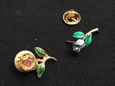 Vintage Rose pins