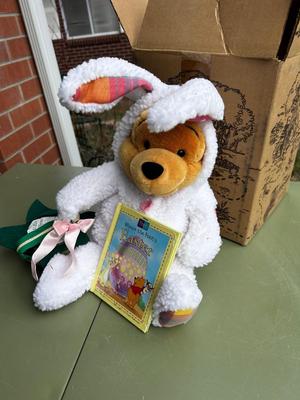 Pooh Bear in Easter Costume w/ Book and Treat basket