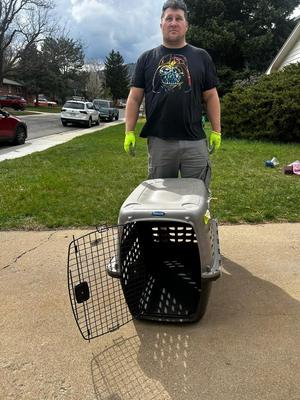 XL Plastic Dog Crate