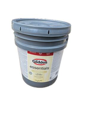 Exterior Paint Flat White