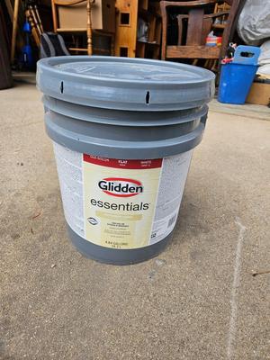 Exterior Paint Flat White