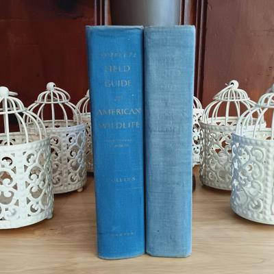 LOT 23: Bird Cage Votive Candle Holders, Lamp with Bird Cage Shade, Vintage Wildlife Books, and Set of Furry Owls