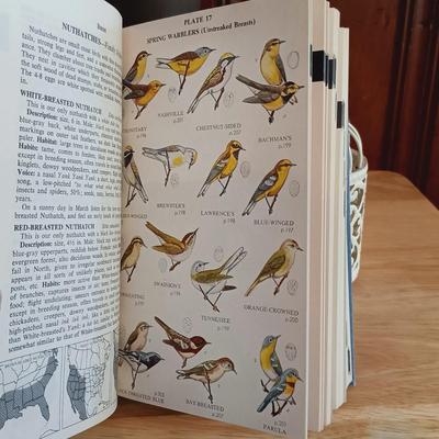LOT 23: Bird Cage Votive Candle Holders, Lamp with Bird Cage Shade, Vintage Wildlife Books, and Set of Furry Owls
