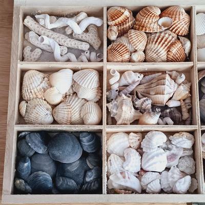 LOT 24: Nautical Collection: Framed Seashells, Boat Shaped Ceramic Dishes, Faux Log Lamp, Crab Trap and Wall Decor