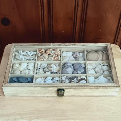 LOT 24: Nautical Collection: Framed Seashells, Boat Shaped Ceramic Dishes, Faux Log Lamp, Crab Trap and Wall Decor
