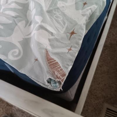 LOT 167: Pottery Barn Harry Potter Twin Sheets and Full/Queen Duvet with Kids Jackets and Shoes