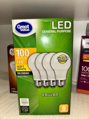 A VARIETY OF LIGHT BULBS