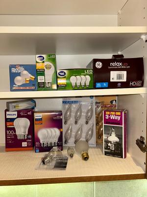 A VARIETY OF LIGHT BULBS
