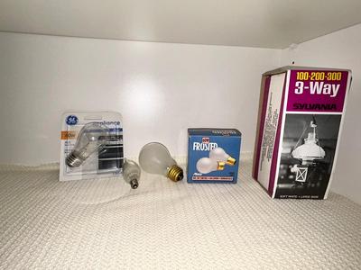 A VARIETY OF LIGHT BULBS