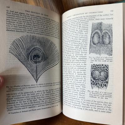 Marble Bookends with Three ‘Modern Library’ Books (B1-HS)