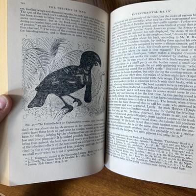 Marble Bookends with Three ‘Modern Library’ Books (B1-HS)