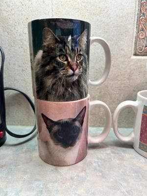 COFFEE MUGS FOR THE CAT LOVER IN YOUR LIFE