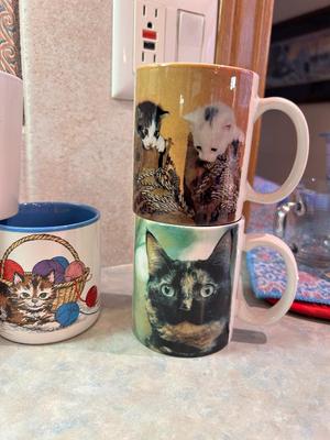 COFFEE MUGS FOR THE CAT LOVER IN YOUR LIFE