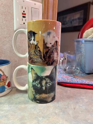 COFFEE MUGS FOR THE CAT LOVER IN YOUR LIFE