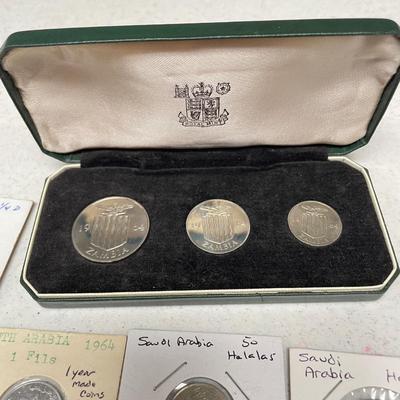 Middle Eastern and African Coins (ST-SS)