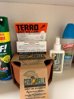 OUTDOOR PROTECTION FROM THE UPCOMING MOSQUITOES