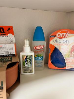 OUTDOOR PROTECTION FROM THE UPCOMING MOSQUITOES