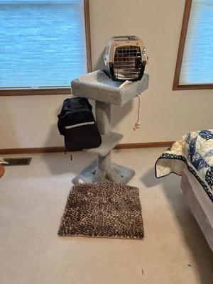 KITTY CAT ITEMS, CAT TREE, COZY MATS FOR THEM TO LAY ON, PET TAXI AND TRAVEL BAG