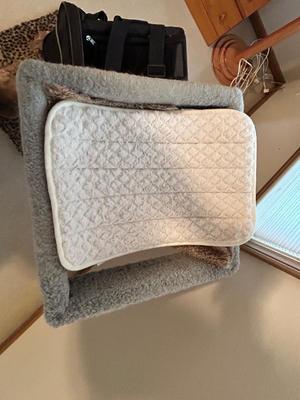 KITTY CAT ITEMS, CAT TREE, COZY MATS FOR THEM TO LAY ON, PET TAXI AND TRAVEL BAG