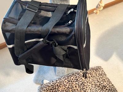 KITTY CAT ITEMS, CAT TREE, COZY MATS FOR THEM TO LAY ON, PET TAXI AND TRAVEL BAG