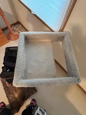 KITTY CAT ITEMS, CAT TREE, COZY MATS FOR THEM TO LAY ON, PET TAXI AND TRAVEL BAG