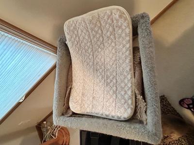 KITTY CAT ITEMS, CAT TREE, COZY MATS FOR THEM TO LAY ON, PET TAXI AND TRAVEL BAG