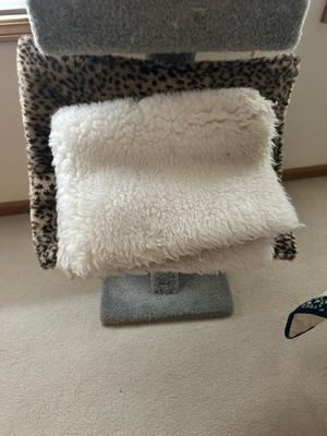 KITTY CAT ITEMS, CAT TREE, COZY MATS FOR THEM TO LAY ON, PET TAXI AND TRAVEL BAG