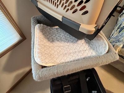 KITTY CAT ITEMS, CAT TREE, COZY MATS FOR THEM TO LAY ON, PET TAXI AND TRAVEL BAG