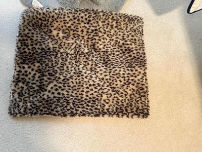 KITTY CAT ITEMS, CAT TREE, COZY MATS FOR THEM TO LAY ON, PET TAXI AND TRAVEL BAG