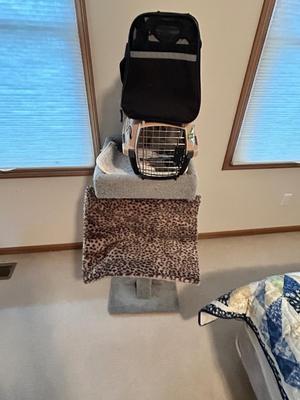 KITTY CAT ITEMS, CAT TREE, COZY MATS FOR THEM TO LAY ON, PET TAXI AND TRAVEL BAG