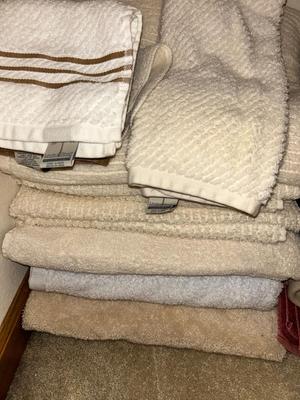 A VARIETY OF VERY PLUSH TOWELS and NEW LOOFAHS