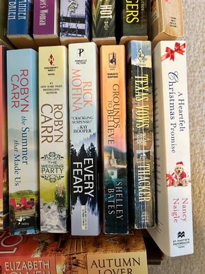 SEVERAL NOVELS BY A VARIETY IF AUTHORS