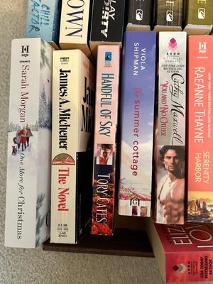 SEVERAL NOVELS BY A VARIETY IF AUTHORS